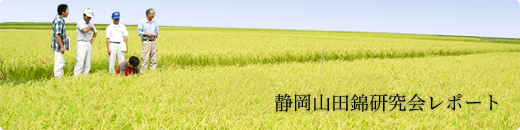 静岡山田錦研究会レポート