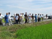 炎天下、圃場を巡回する会員